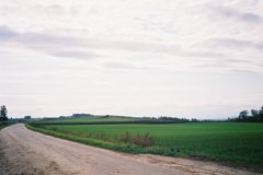 FH010004