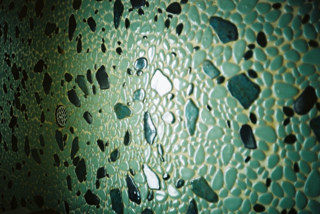 FH010016