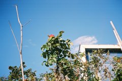 FH010019