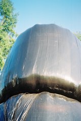 FH000015