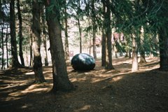 FH000023