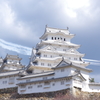 IMGP2019