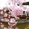 祇園白川