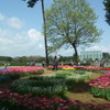 2012.05.01常陸海浜公園