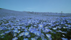 2012.05.01常陸海浜公園