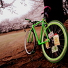 桜と自転車（友達の）