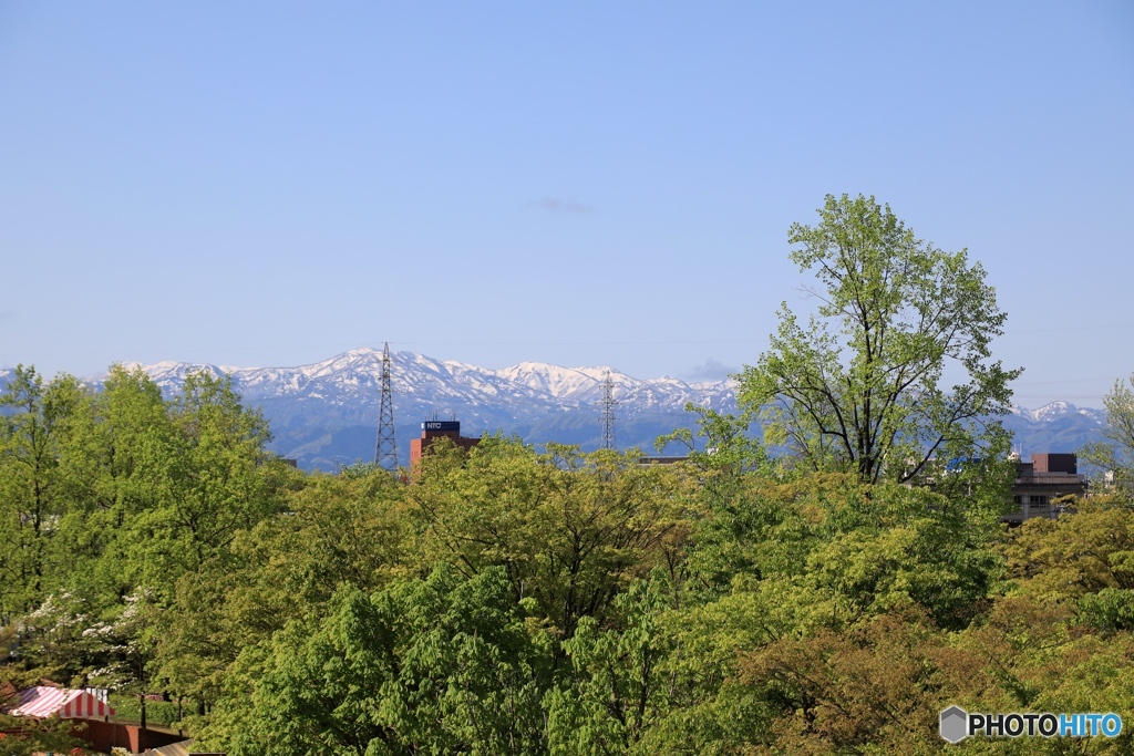 となみチューリップ公園から 白山遠望
