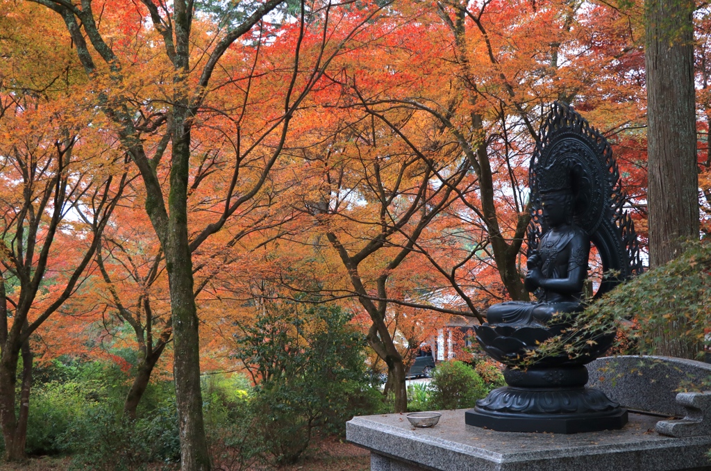 丹波秋色　高山寺３