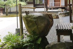 京都　建仁寺にて4
