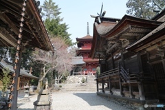 丹波市　柏原八幡宮にて