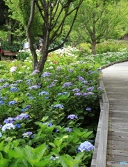 明石海峡公園にて４