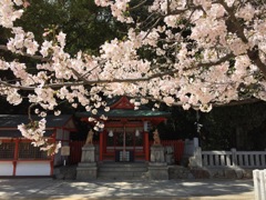神戸 生田神社にて