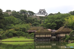 彦根城を望む１