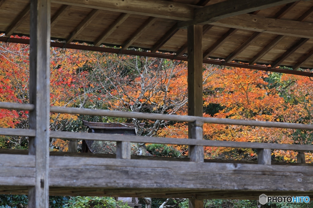 慧日寺にて６