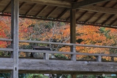慧日寺にて６