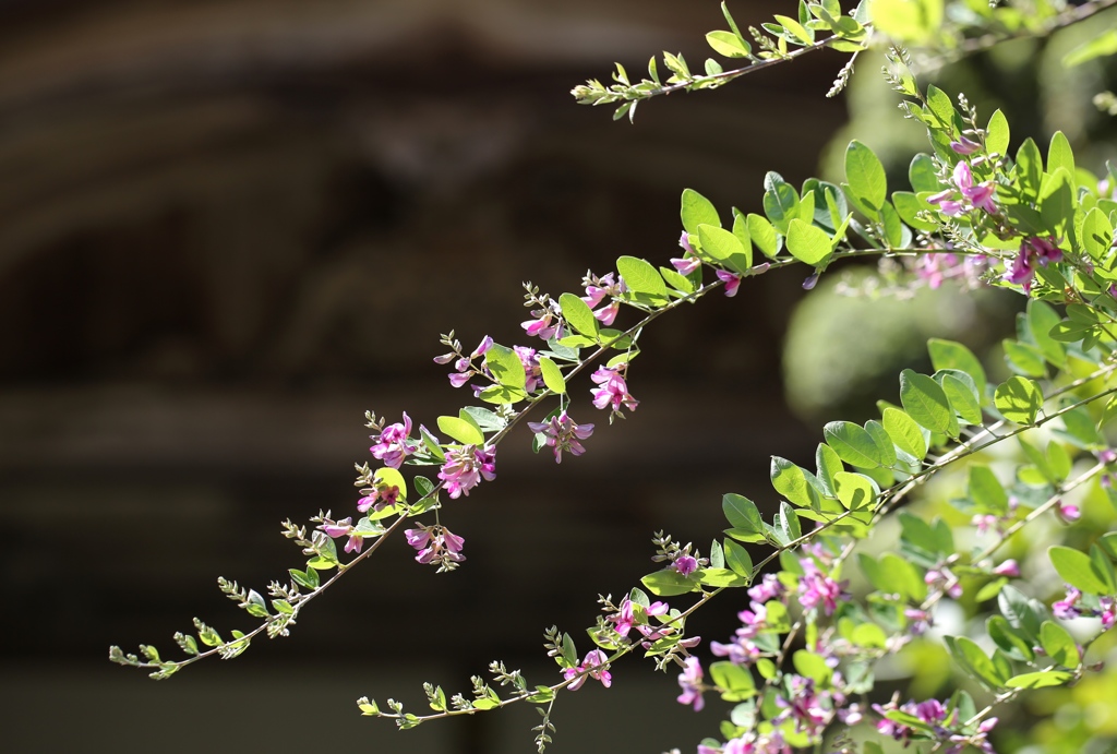 播州清水寺にて1