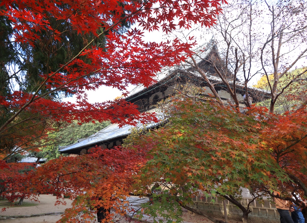 岡山　曹源禅寺にて