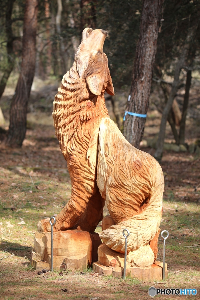 目から涙が　北播磨余暇村公園にて