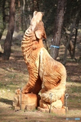 目から涙が　北播磨余暇村公園にて