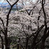 播磨中央公園にて　その３
