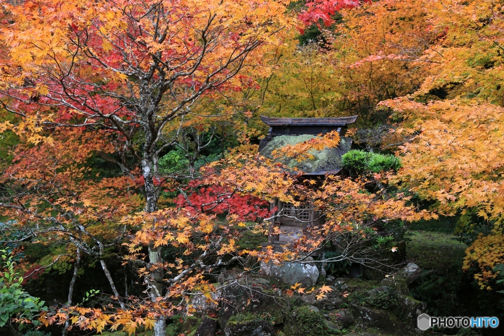 丹波　慧日寺にて１
