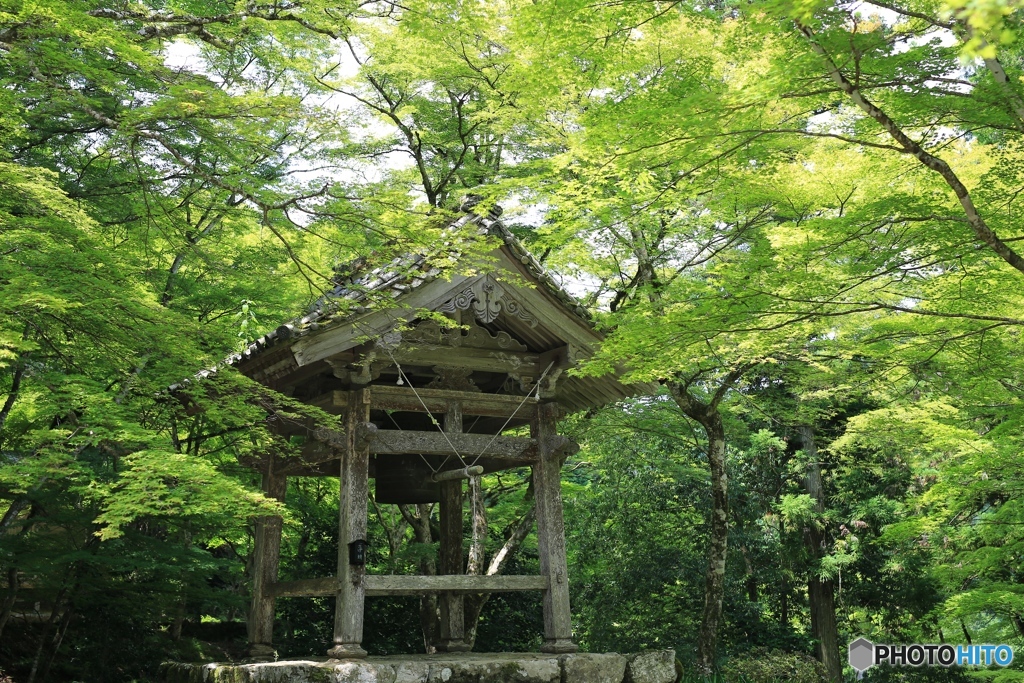 高源寺にて５