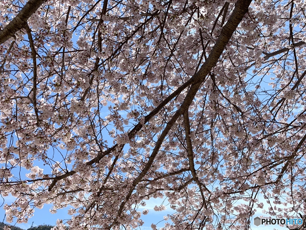 近くの公園にて