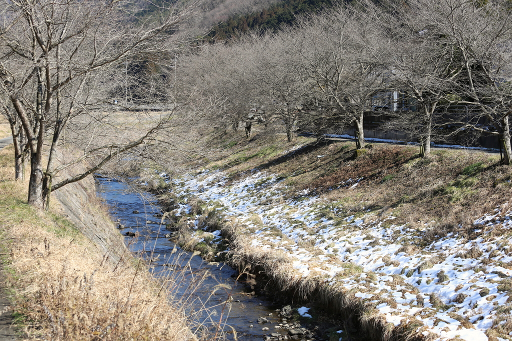 残雪　篠山にて