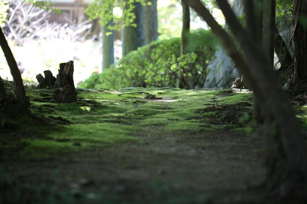 播州清水寺にて2
