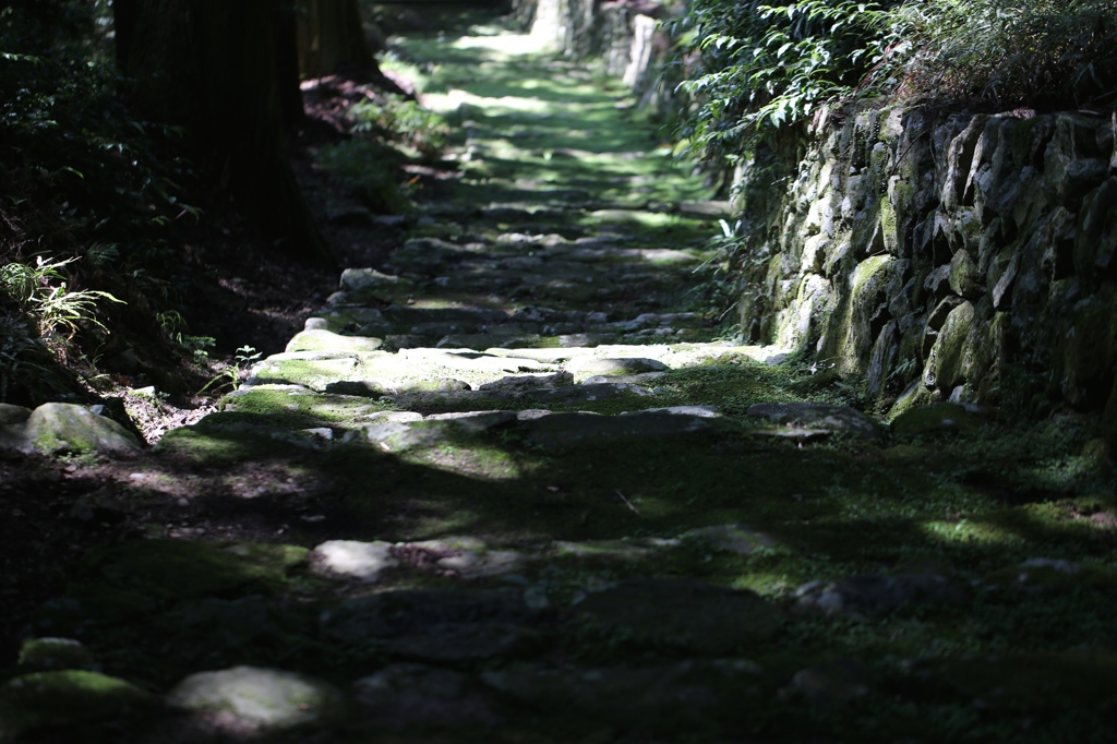 荘厳寺にて　5