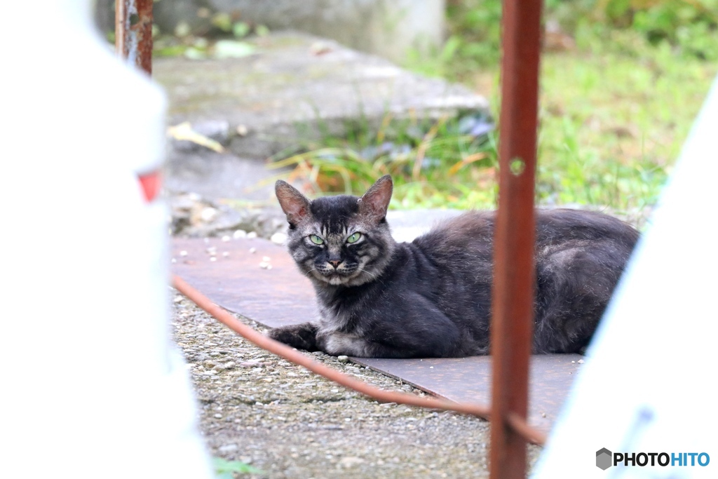 動じない心