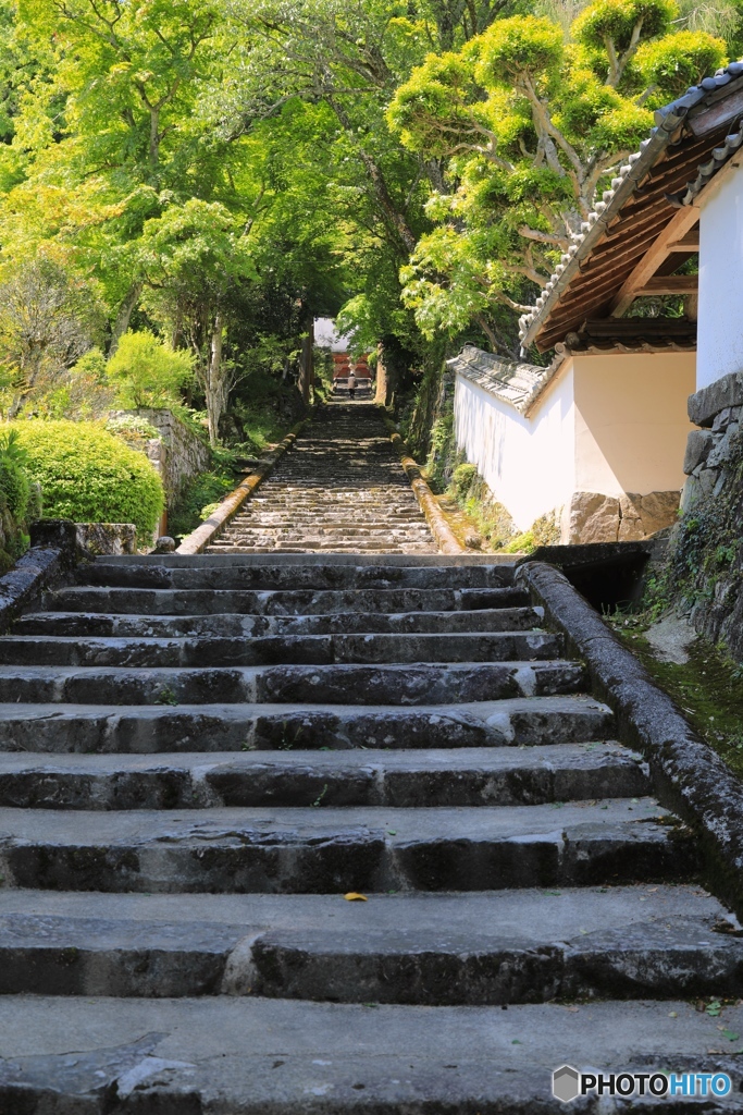 丹波古刹 常勝寺にて（登る）