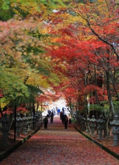 西林寺にて　その後２