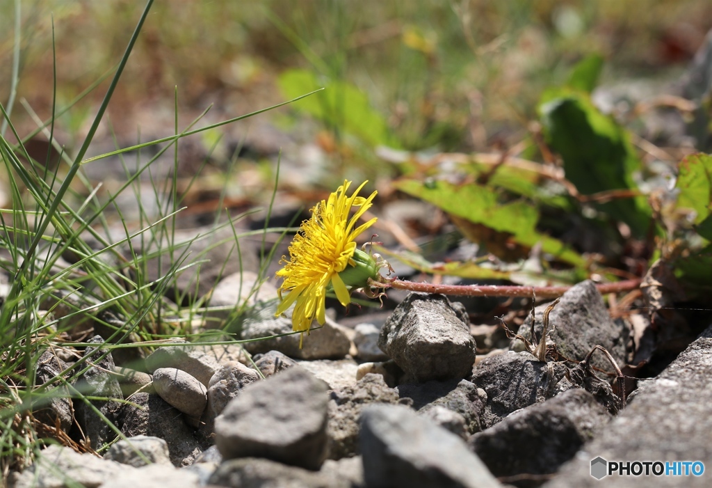 頑張ってるよ！