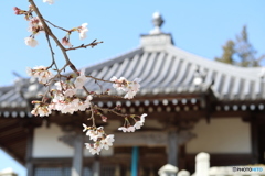 近くの毘沙門天にて