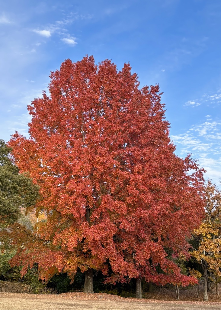 播磨中央公園にて