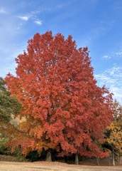 播磨中央公園にて