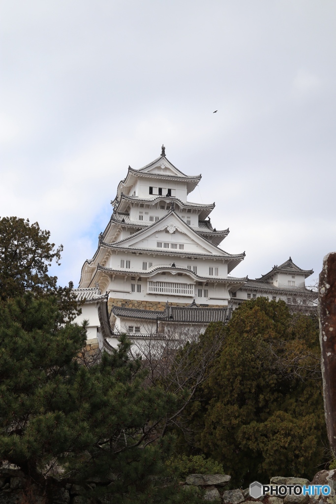 姫路城（東面）