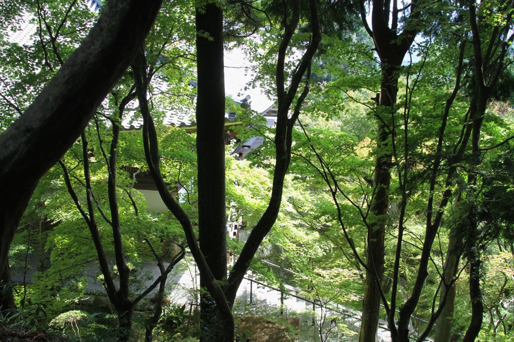 播州清水寺にて5