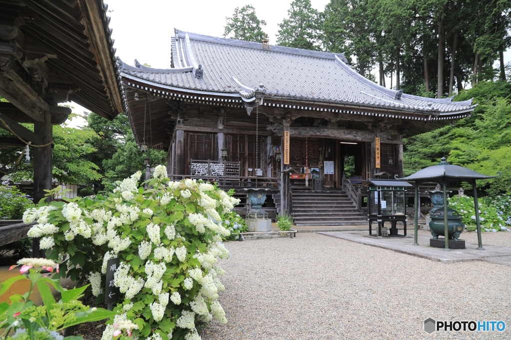 福知山市　あじさい寺にて２
