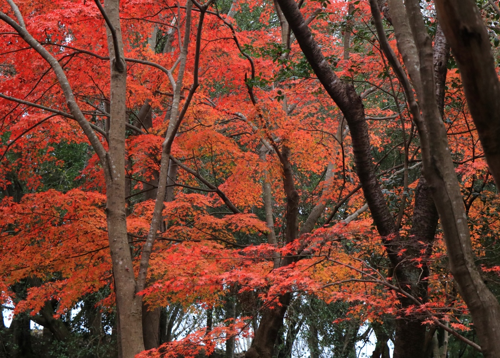 播磨中央公園にて３