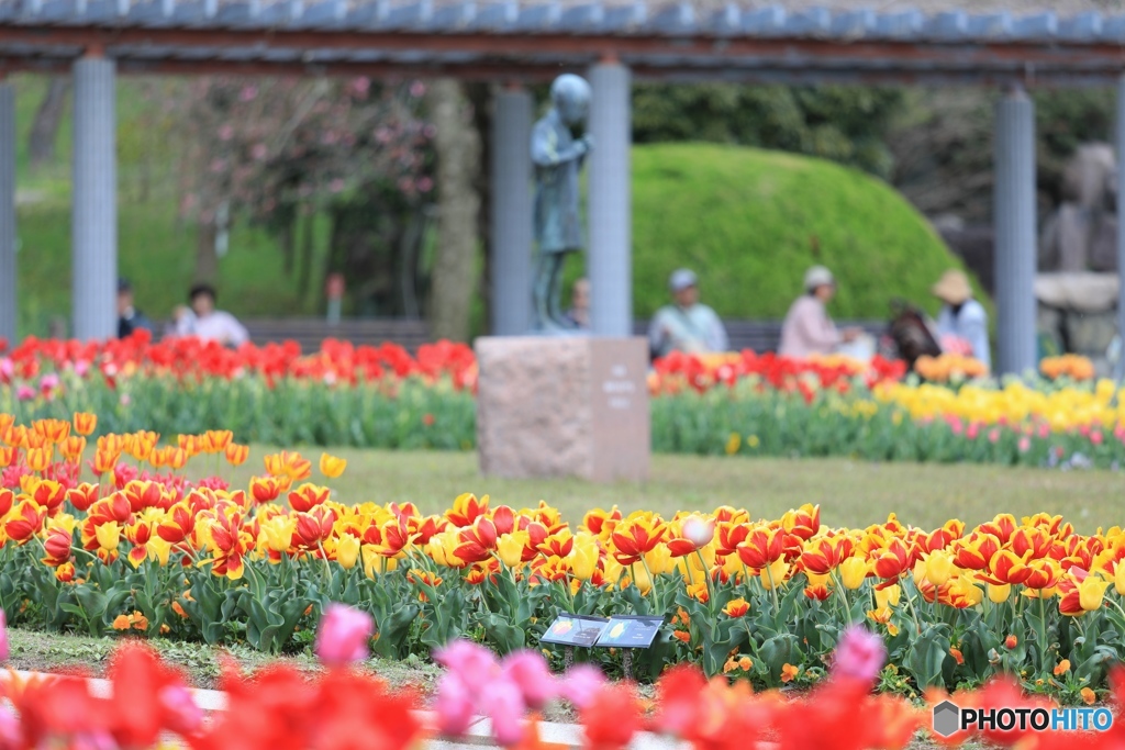 フラワーセンターにて