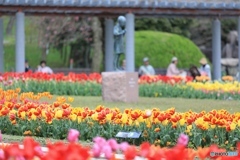 フラワーセンターにて