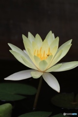 旅先にて１