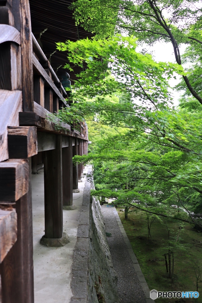 播州清水寺にて