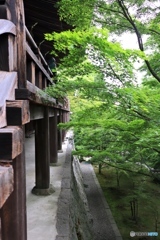 播州清水寺にて