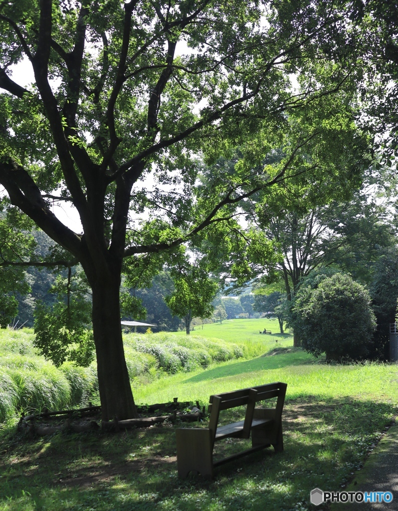 三木山森林公園にて