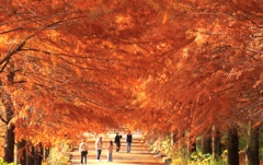 播磨中央公園にて１