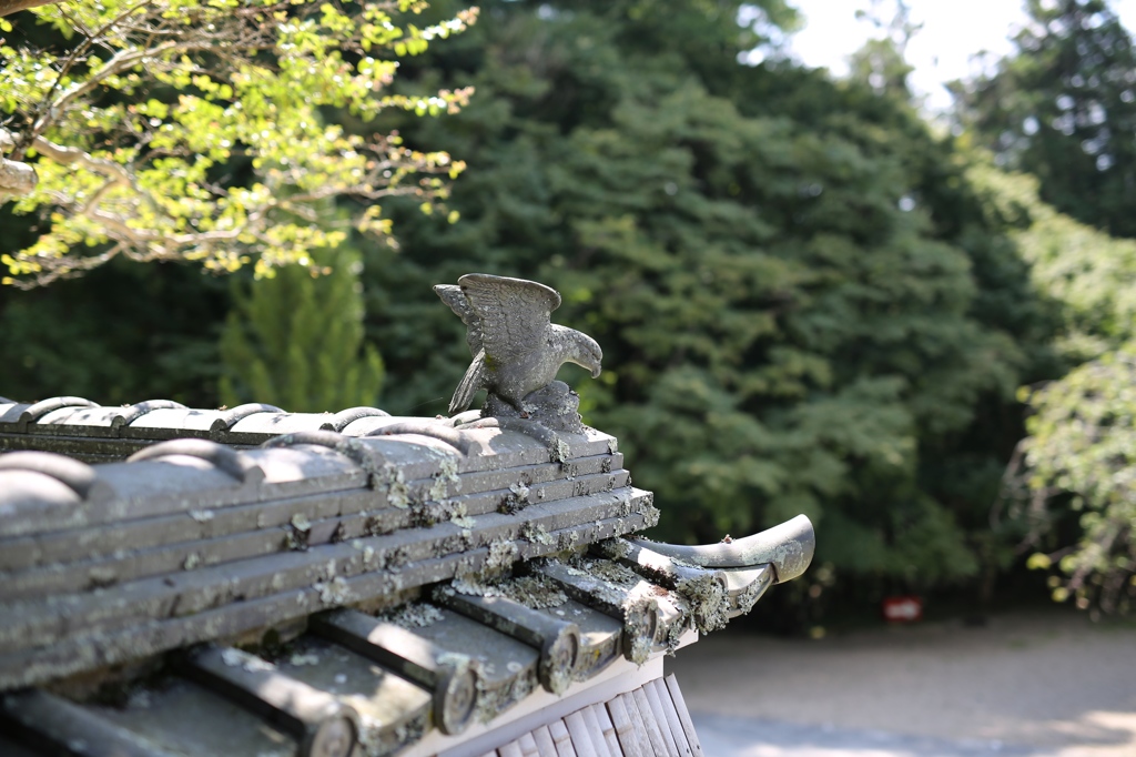 荘厳寺にて1
