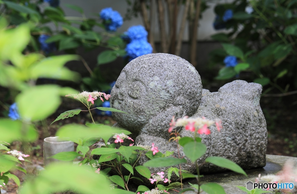 安らぎ 福知山市あじさい寺にて